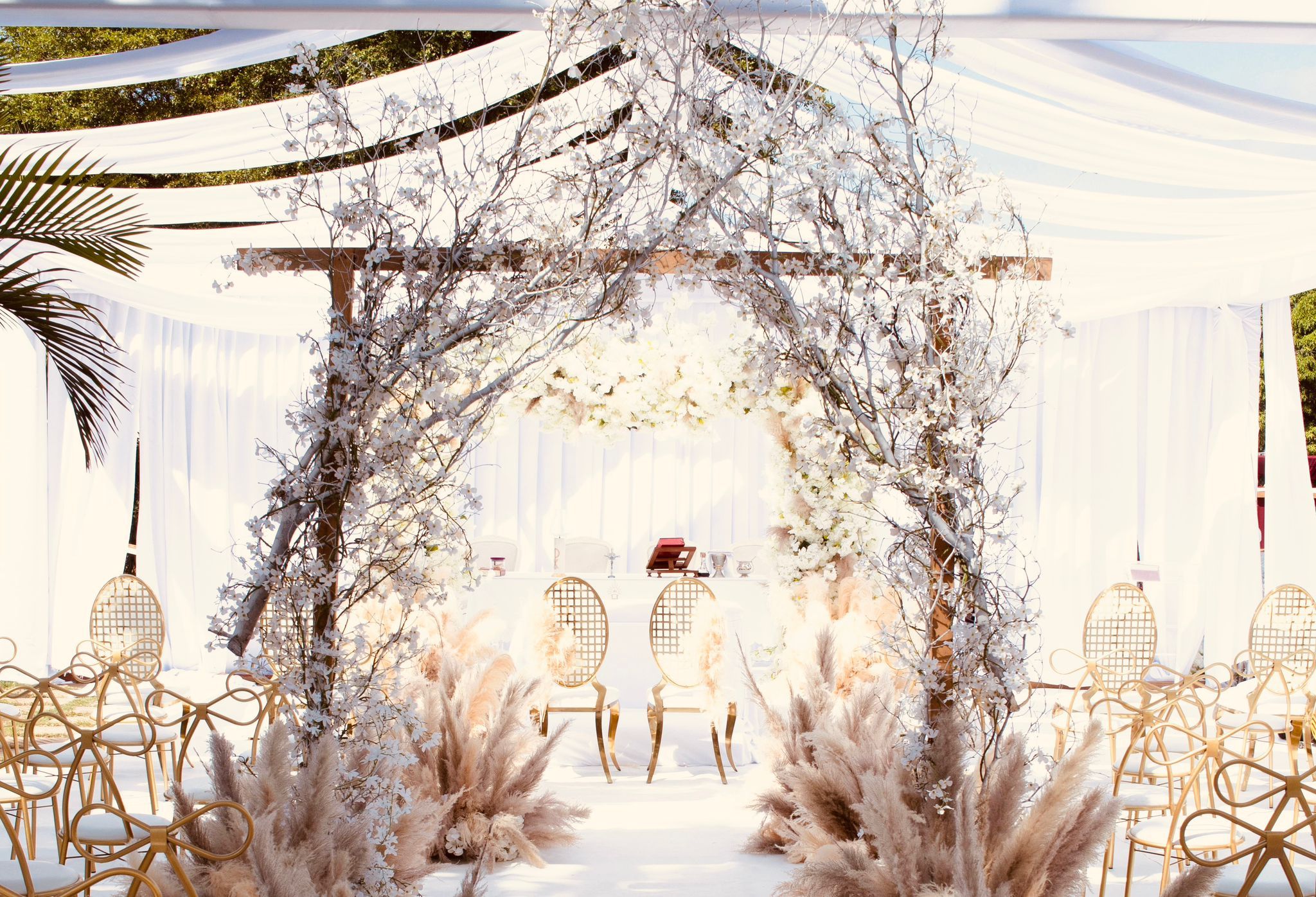 WhatsApp Image 2025-09-11 at 20.26.19 (2).jpeg